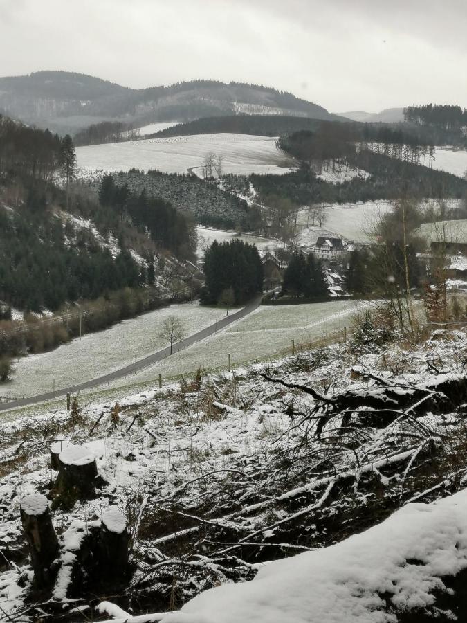 Kleines Ferienhaus Mit Charme Meschede Eksteriør billede
